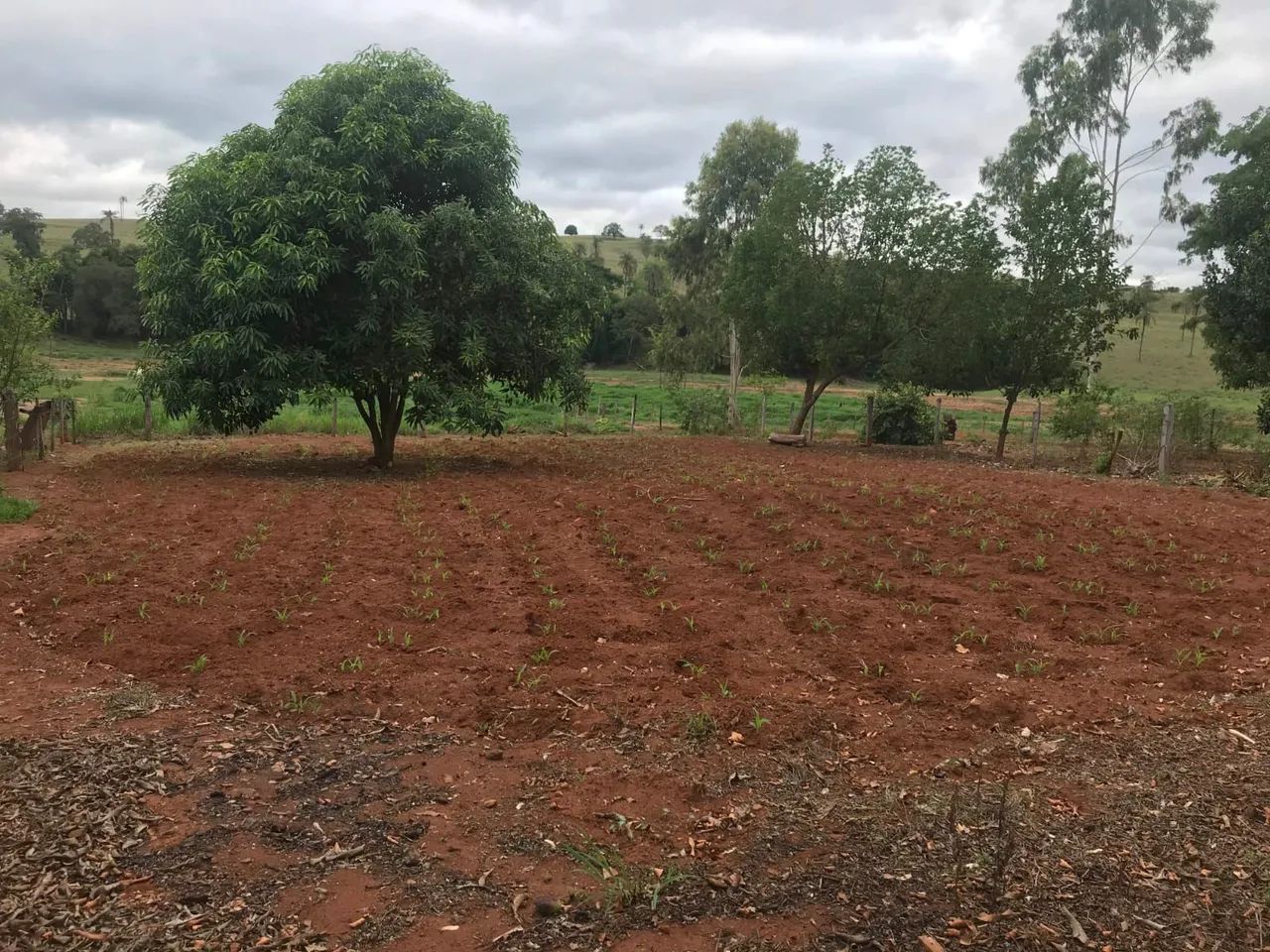 Rancho a Venda em Cássia MG - Foto 5