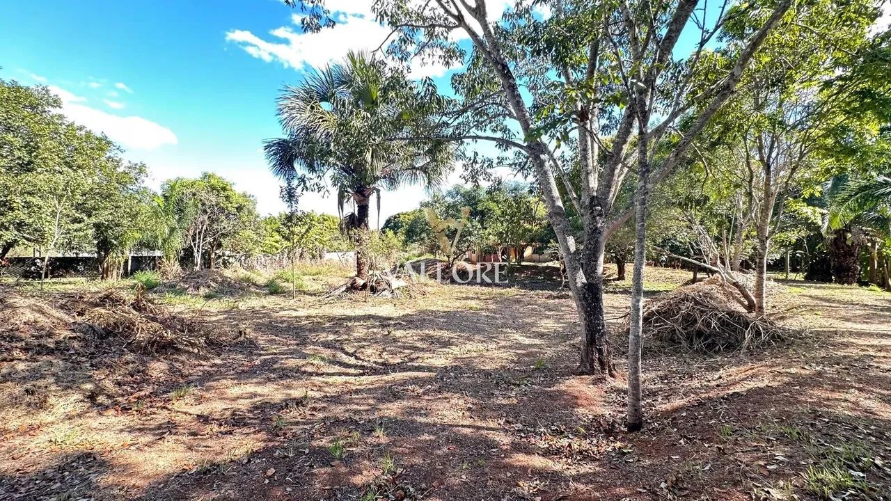 Ribeirão da Cachoeira - Chácara 7.158,89 m² com acesso ao Ribeirão - Condomínio  Nova Vene - Foto 10