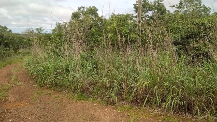 Vendem-se 2 terrenos de 613m2  a 2Km da rotatória da JK com BR 010 - Foto 4