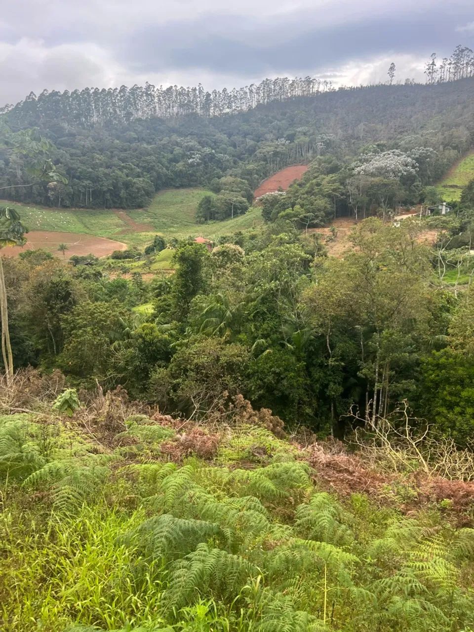 Terreno com rio em Pedra Azul  - Foto 3