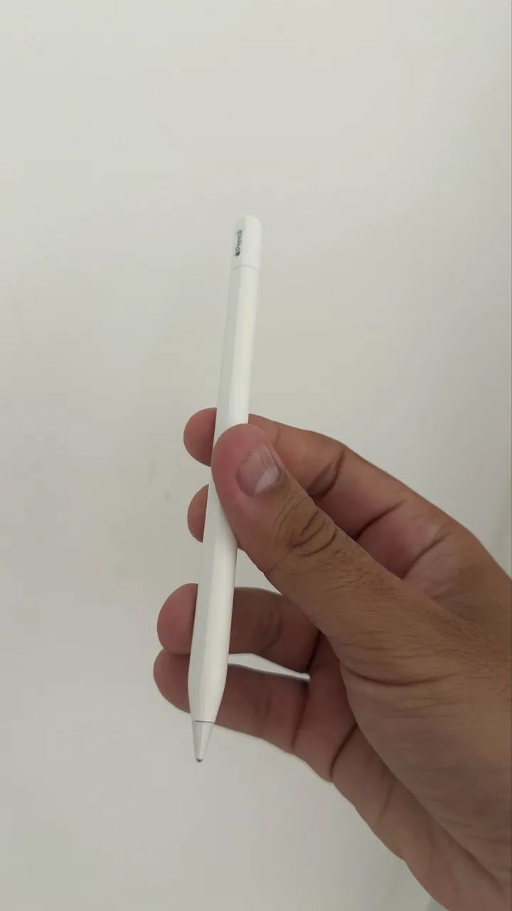 Apple Pencil Tipo C