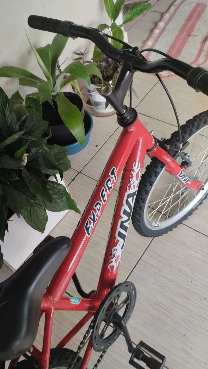 Bicicleta aro 20  - Foto 4
