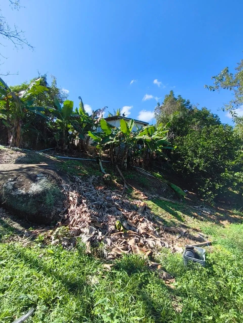 Terreno de Grande Porte com Viabilidade Residencial e Comercial - Foto 5
