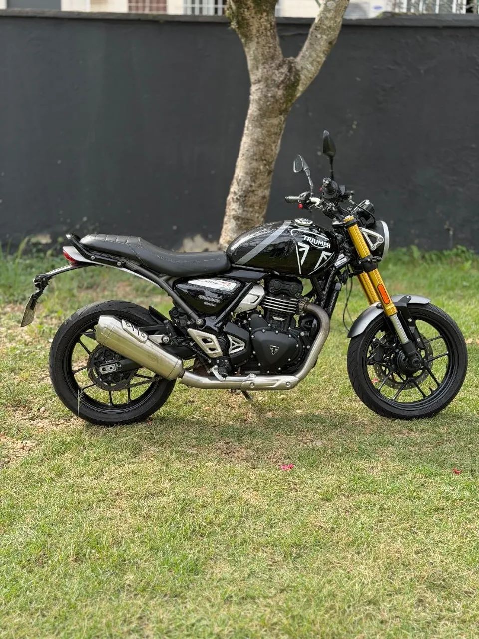 Triumph speed 400
