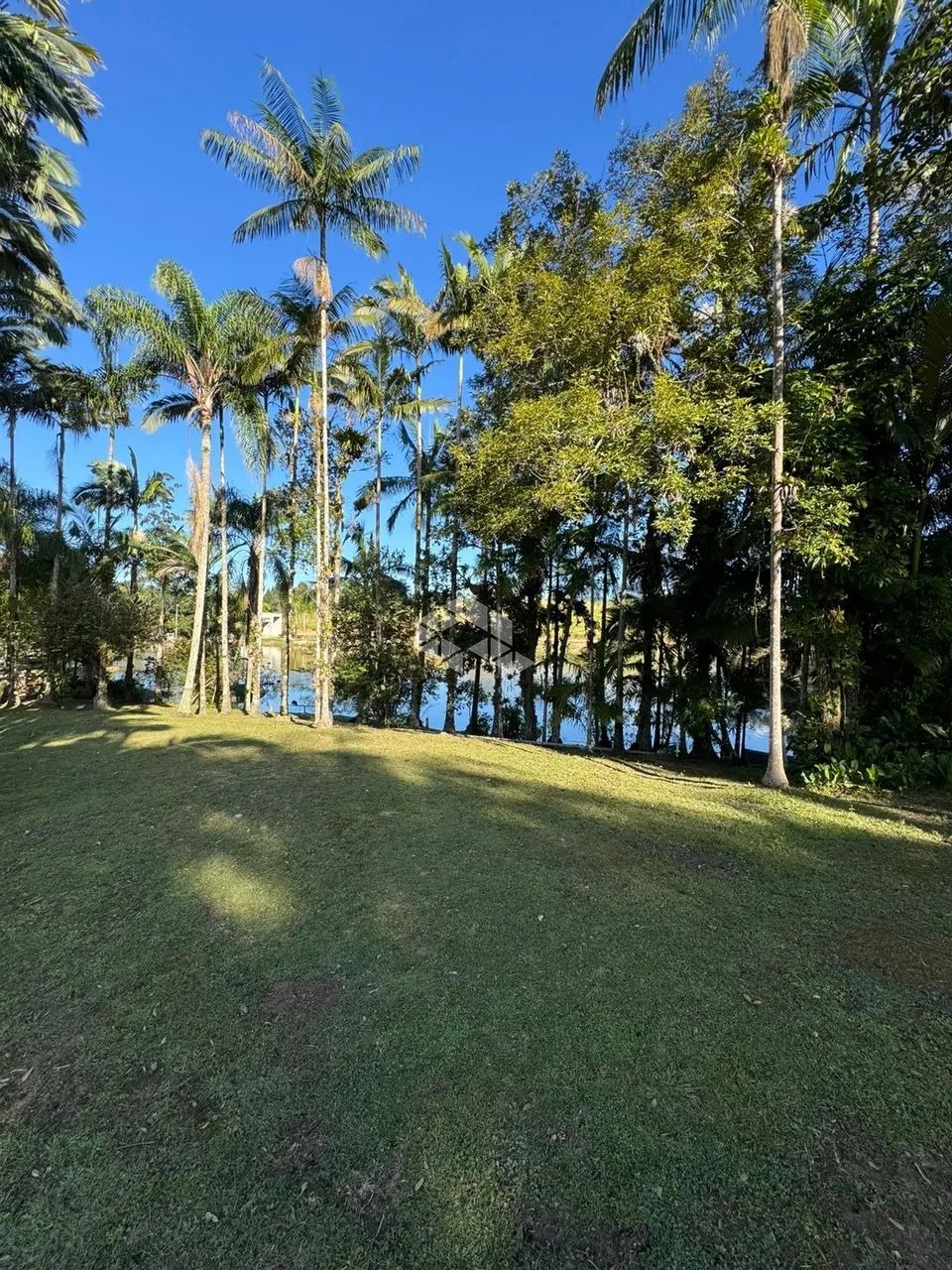 Chácara à Venda em Moura, Canelinha - SC - Foto 2