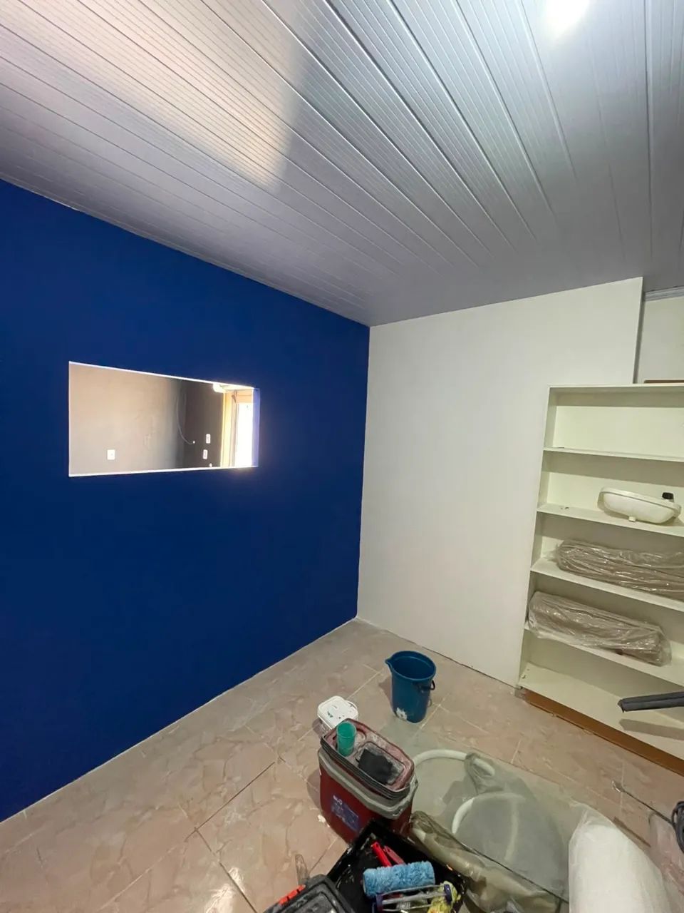 PINTOR PROFISSIONAL 