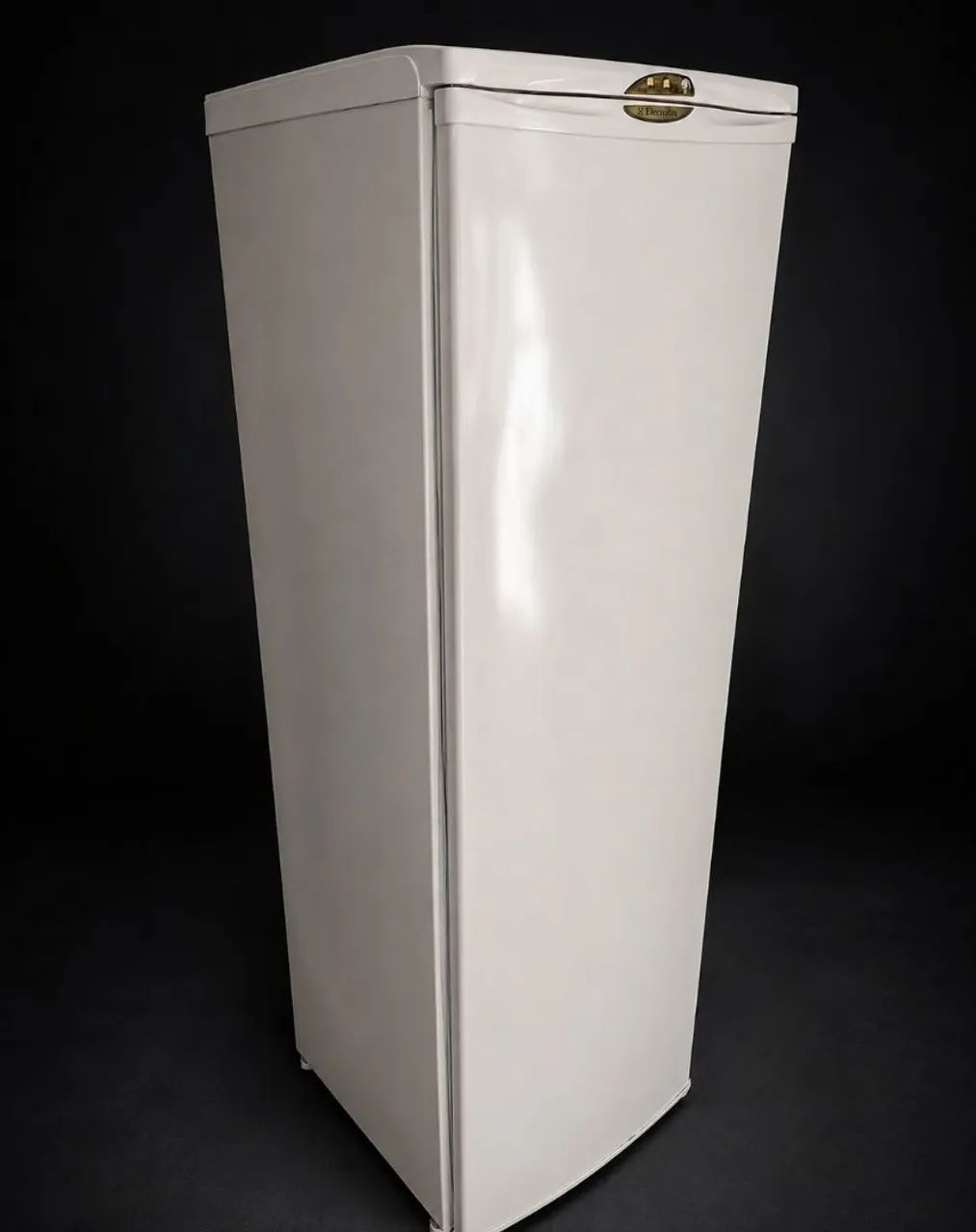 Freezer VERTICAL ELECTROLUX  - Foto 3