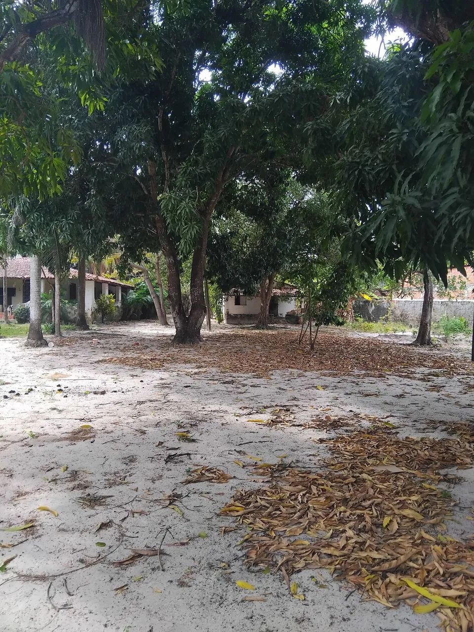 Sitio/Terreno  - Foto 3