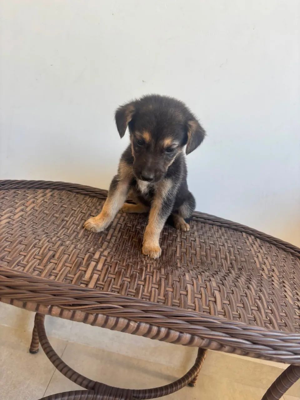 vende-se  - Foto 3