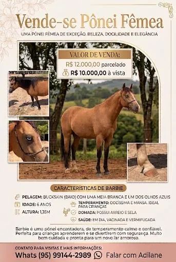 Vendo Pônei