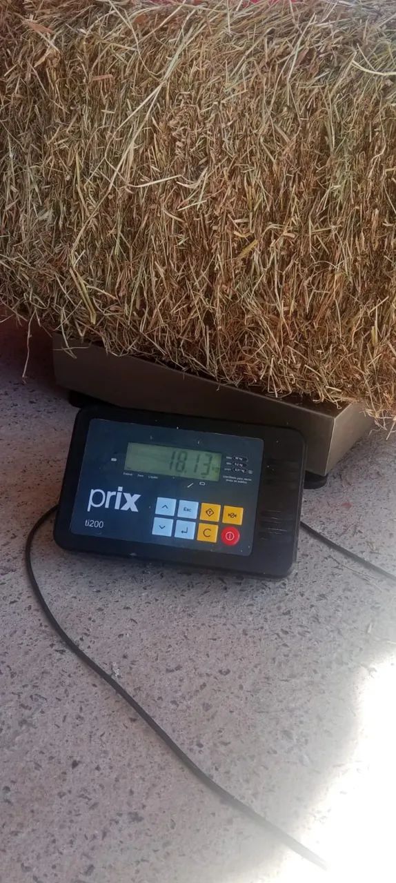 Agro - Foto 4