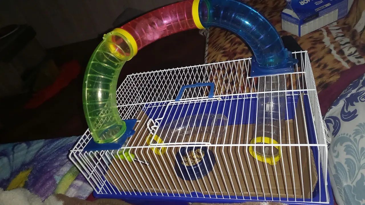 Hamster e gaiola - Foto 4