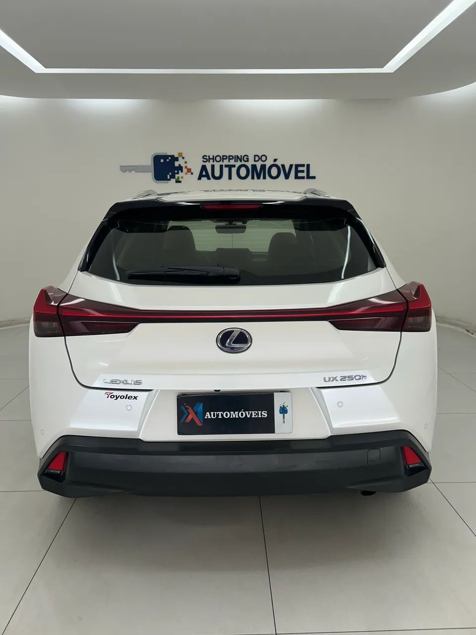 Lexus UX-250h Luxury 2.0 16V Aut.(hybrid), foto 13 de 15