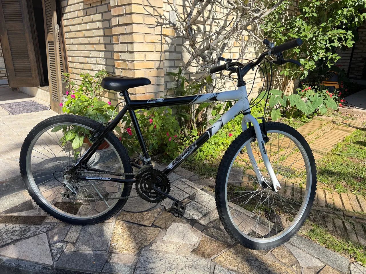 Bicicleta  - Foto 4