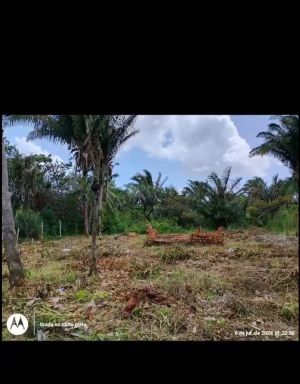 Terreno arborizado, Praia Fortalezinha