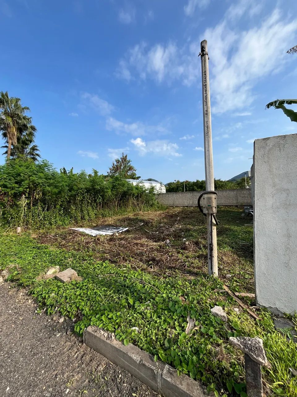 Terreno Vargem Grande  - Foto 4