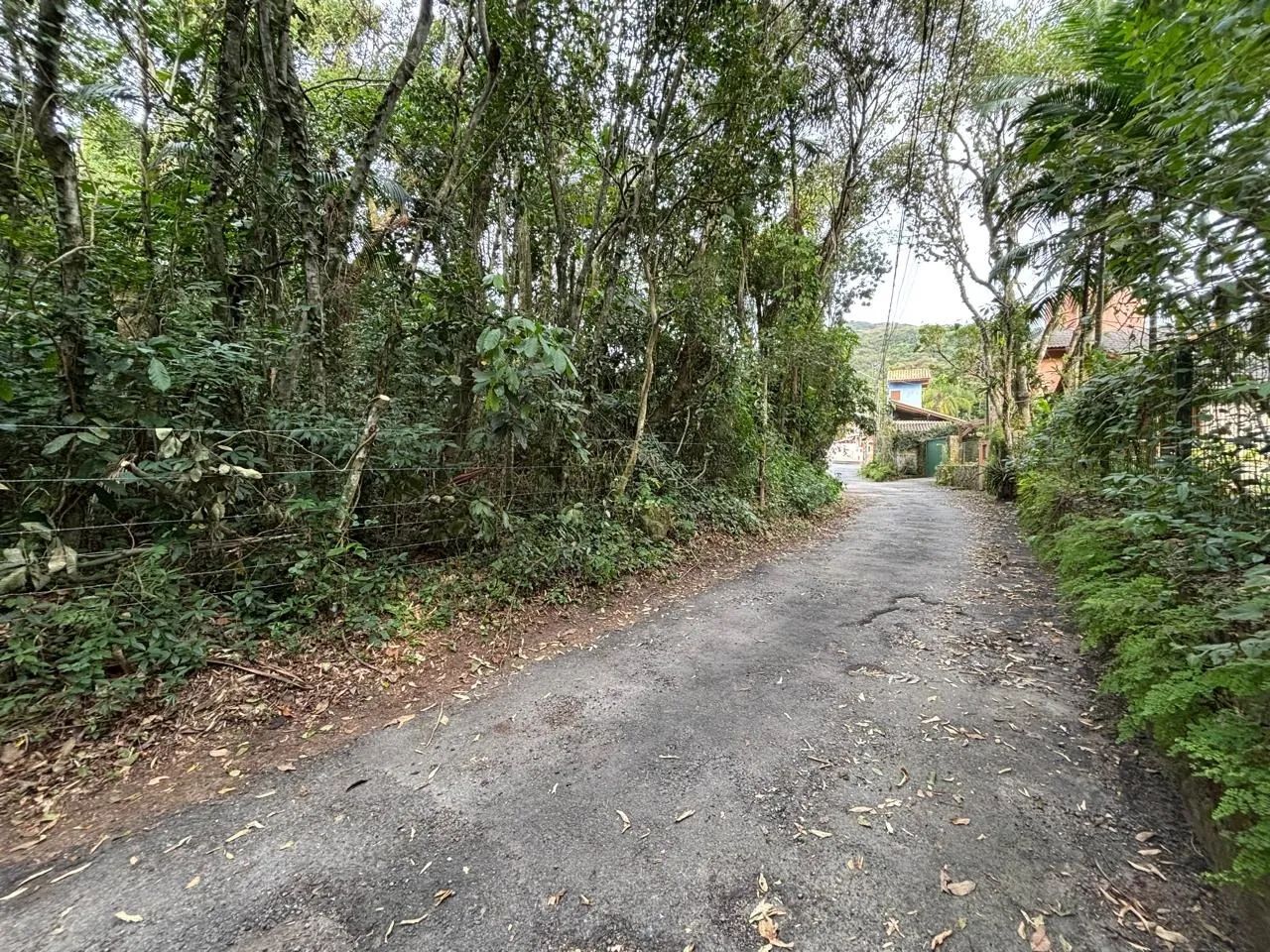 Terreno à venda no Canto da Lagoa - Foto 3