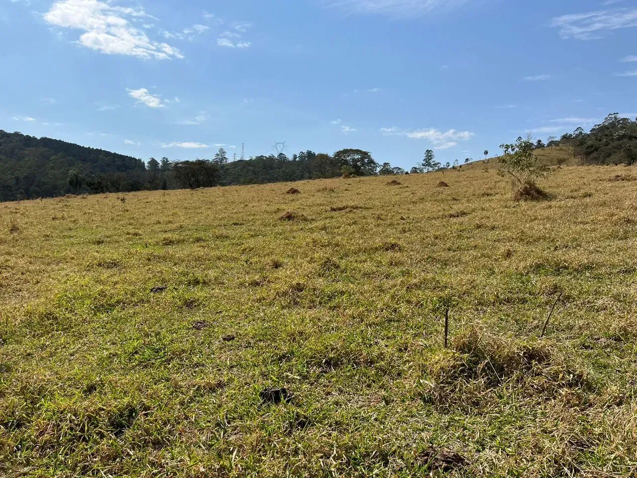 TERRENO COM ACESSO A 200M DA RODOVIA E ACEITO VEICULOS!! - Foto 5