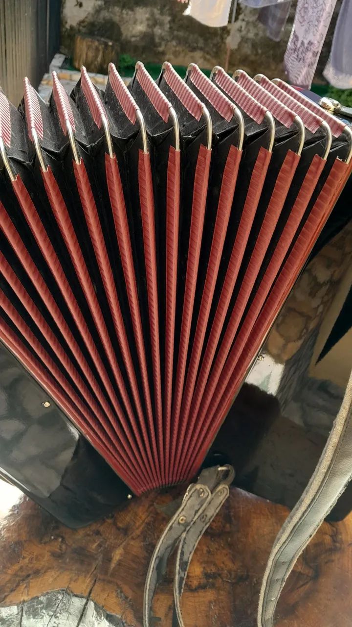 Acordeon todeschini super 6 - Foto 3