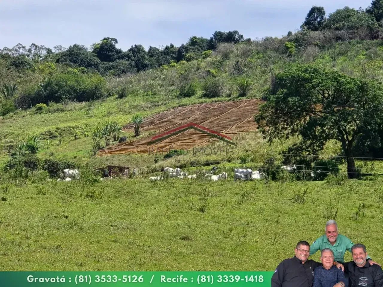 Fazenda 130 ha à Venda em Amaraji/PE - Foto 2