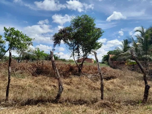 Vendo Terreno em Barreirinhas- MA - Foto 4