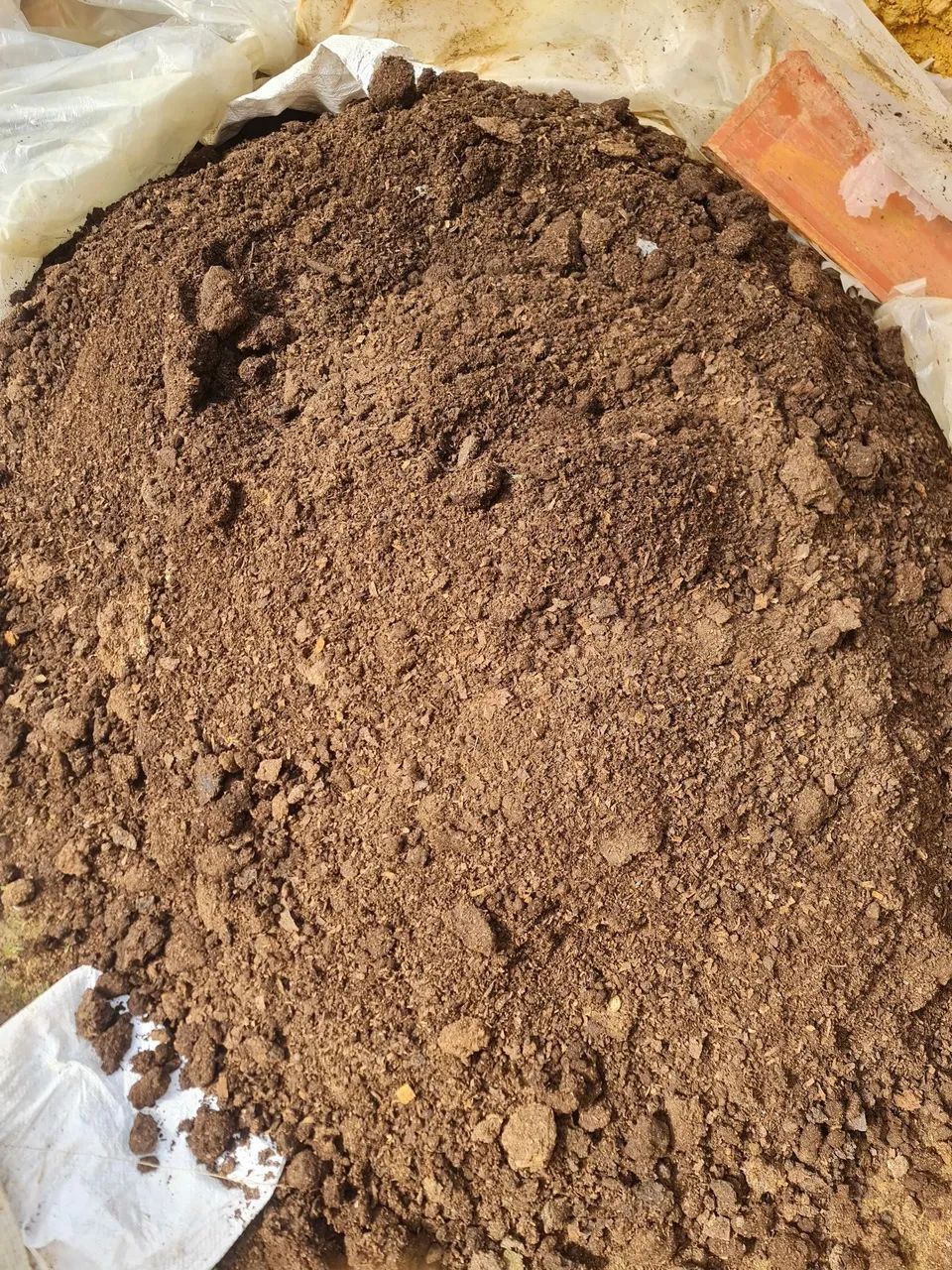 Esterco de galinha  - Foto 3