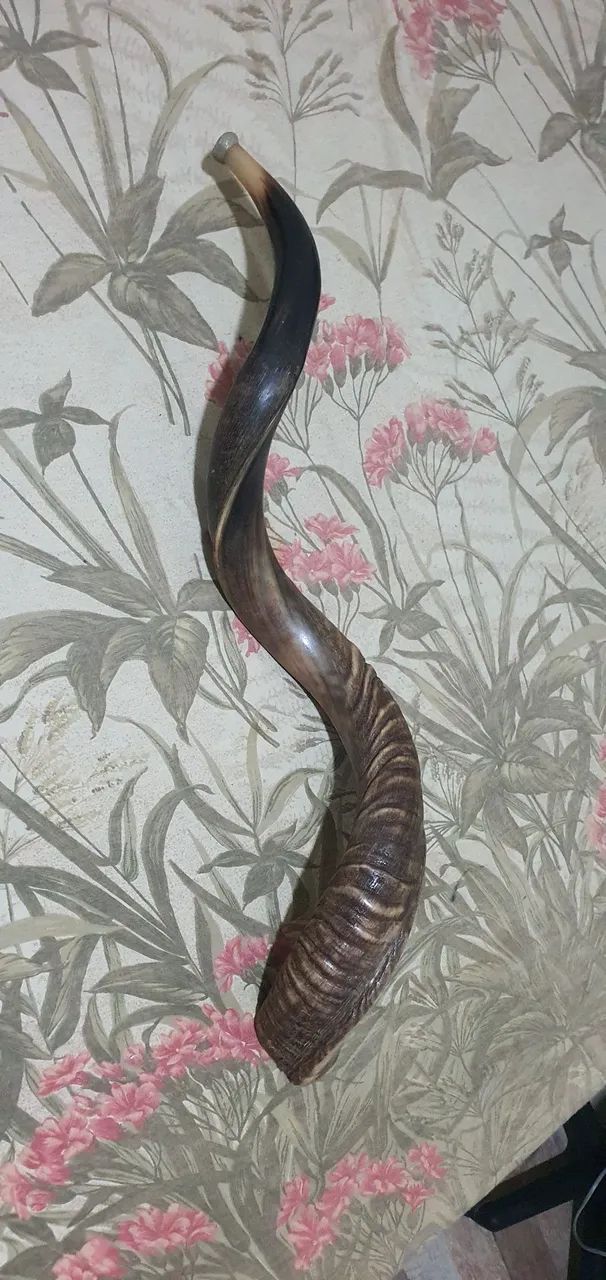 Shofar  - Foto 2