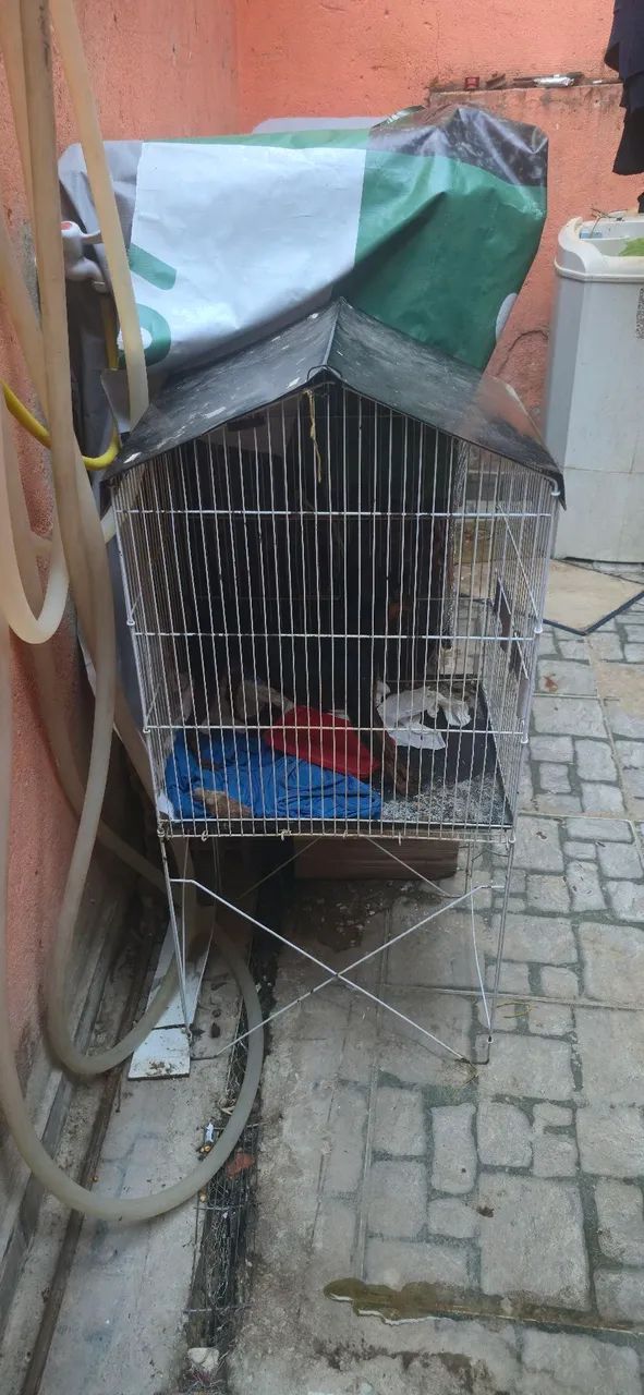 viveiro gaiola grande  - Foto 2