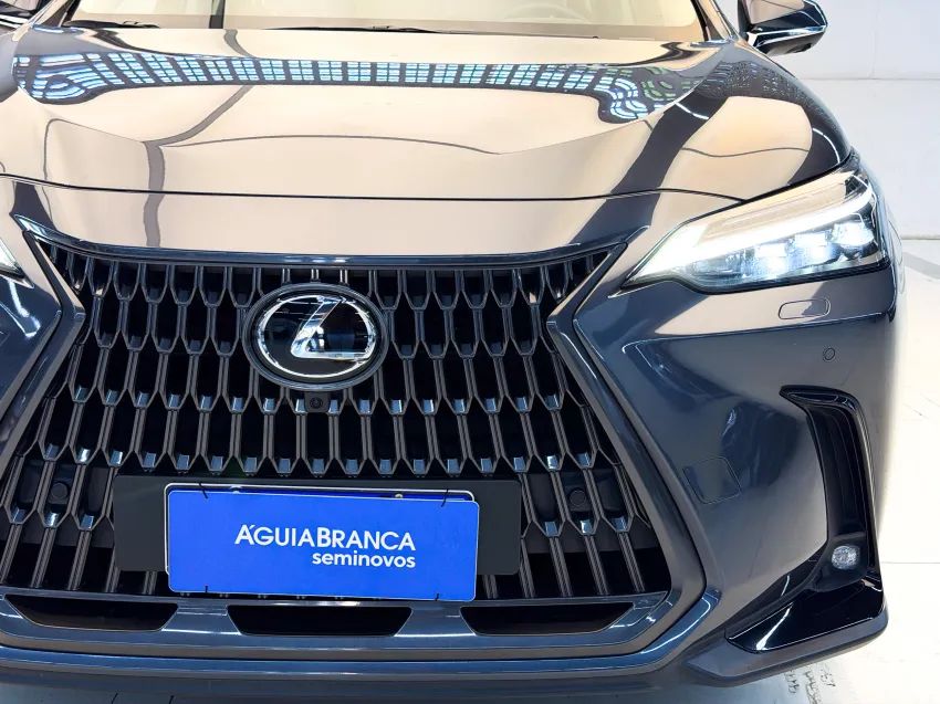 Lexus NX-350h Luxury 2.5 16V Aut. (hybrid), foto 4 de 19