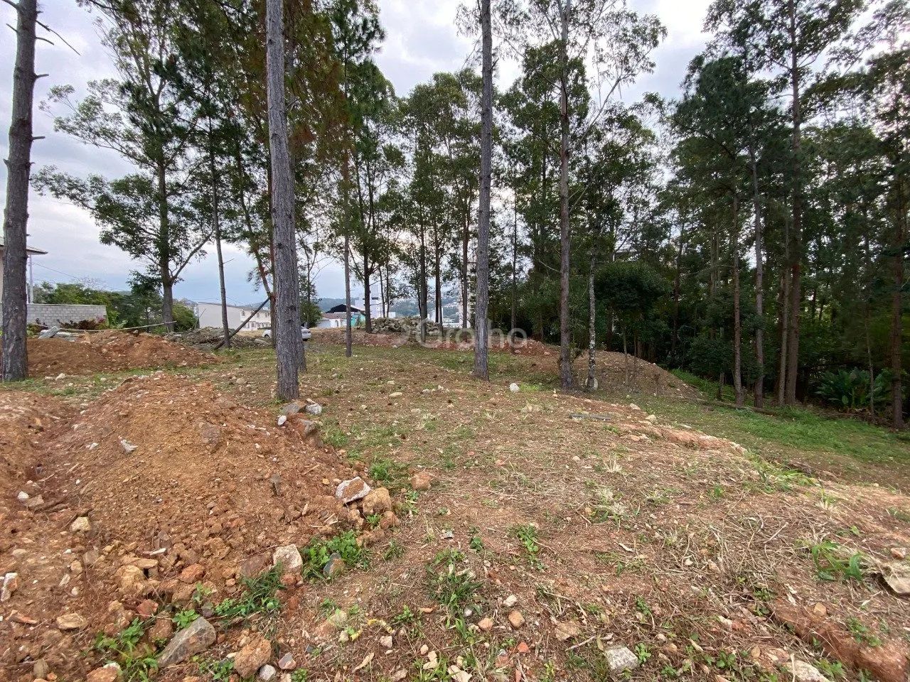 Terreno de 1.500m² no Pantanal - Foto 3