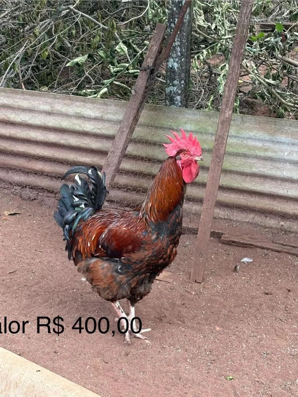 Vendo  - Foto 2