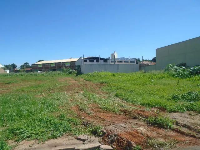 Terreno Padrão em Uberlândia - Foto 3
