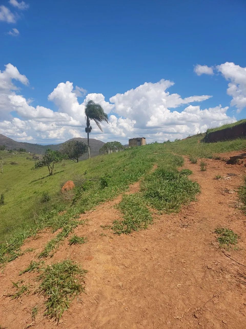Imóvel rural são thomé das letras  - Foto 4