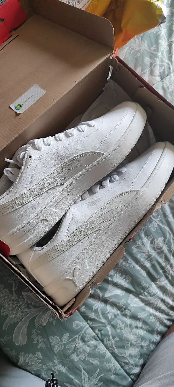 Tenis