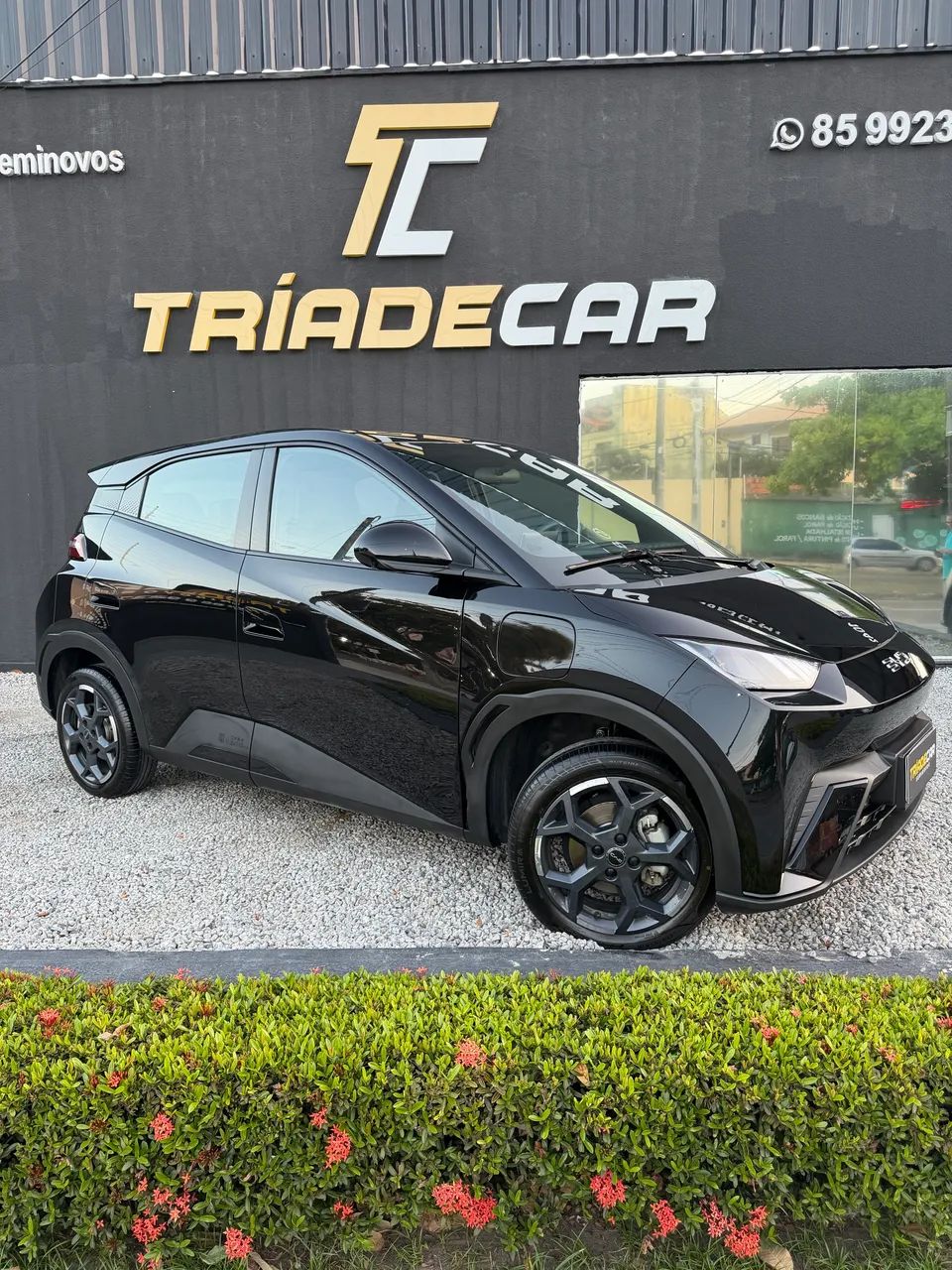 BYD Dolphin Mini (Elétrico) 2026