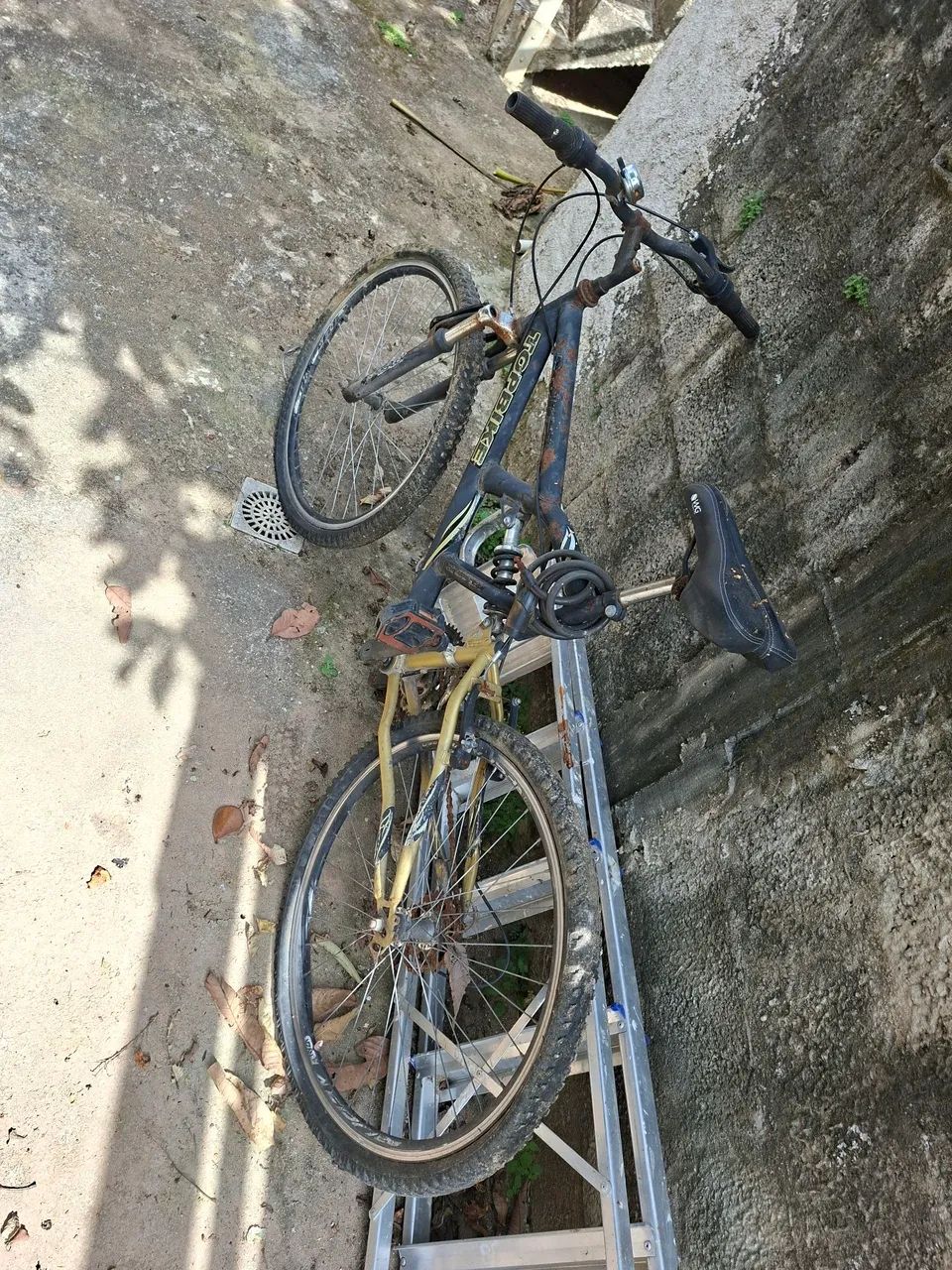 Biscicleta - Foto 2