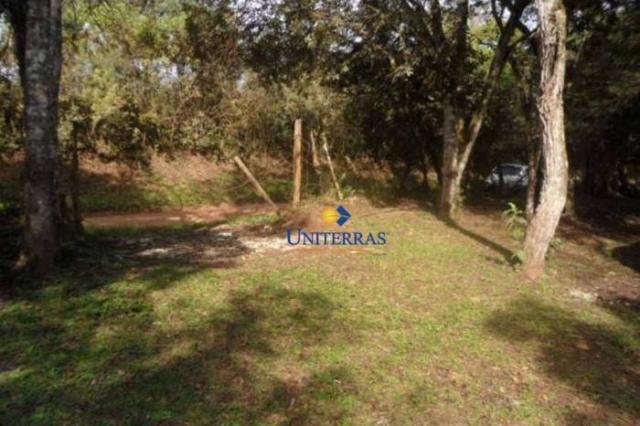 Terreno para venda em colombo no bairro são gabriel - Foto 11