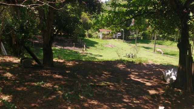 Ótimo sítio em Vale das Pedrinhas - Guapimirim RJ - Foto 11