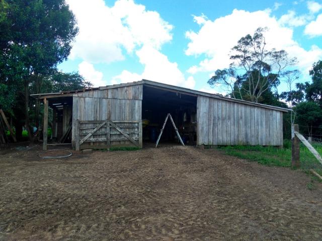 Chácara de 16 Alqueires ( Porteira Fechada ) R$ 3.350.000,00 Jordão ( Guarapuava PR ) - Foto 5