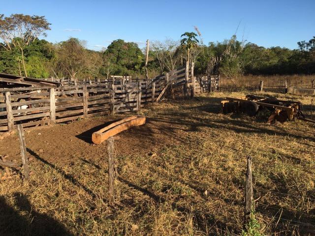 217 hectares, com 150 hectares aberto 32 km de Dom Aquino -MT - Foto 20
