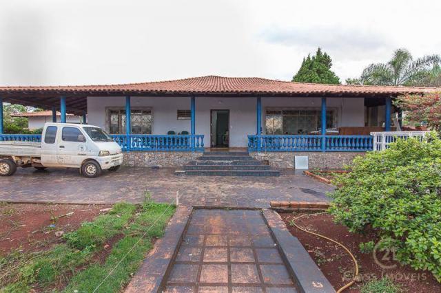 Chácara com 3 dormitórios à venda, 3005 m² - jardim morumbi - londrina/pr - Foto 3