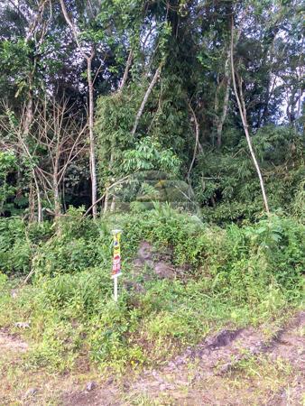 Terreno à venda em Balneário parque i, Itapoá cod:155864 - Foto 2