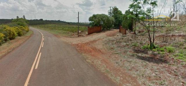 Sítio rural à venda, gleba palhano, londrina. - Foto 3