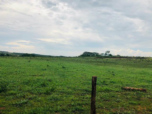 Prima.Vera do Oeste MT 1000 ha - Foto 4