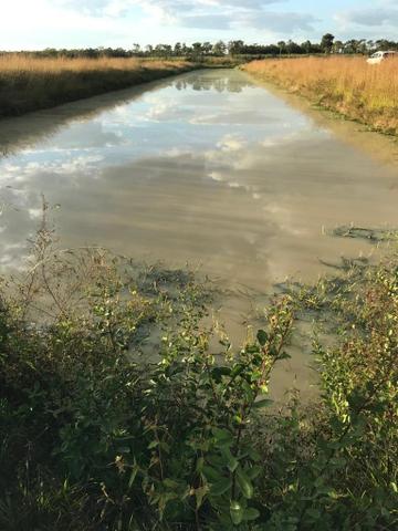 Vendo propriedade rural - Foto 2