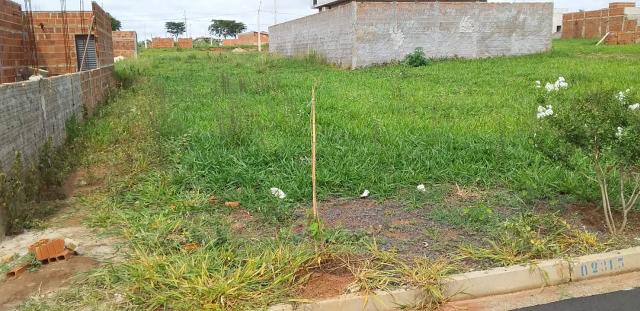 Vendo terreno