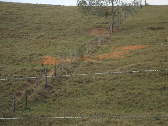 Fazenda de 118 alqueires em Casimiro de Abreu, RJ - Foto 14