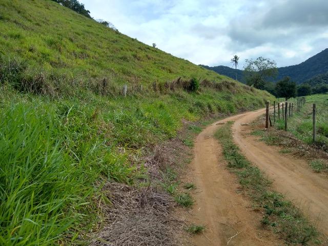 Sítio de 15 alqueires em Silva Jardim, RJ - Foto 17