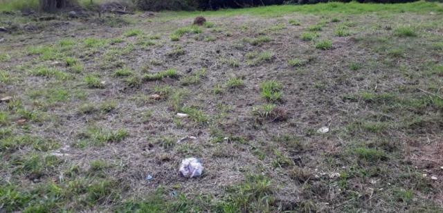 Terreno plano de barbada bairro guarani - Foto 2