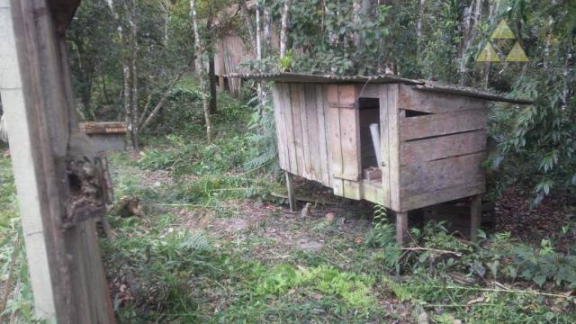 Sítio rural à venda, itajuba, barra velha. - Foto 7